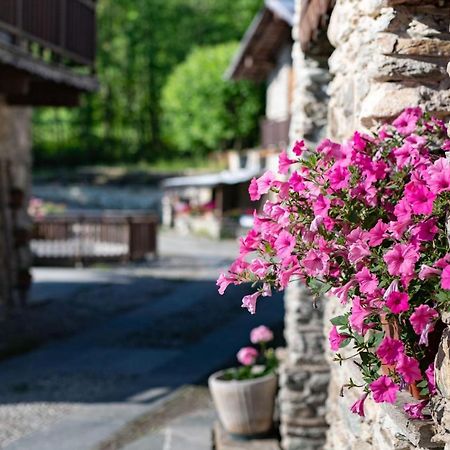 Il Sogno Della Vita Agriresort - Country Rooms & Suites Peveragno Exteriér fotografie