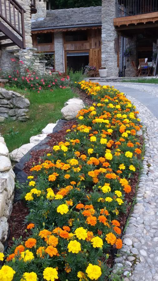 Il Sogno Della Vita Agriresort - Country Rooms & Suites Peveragno Exteriér fotografie